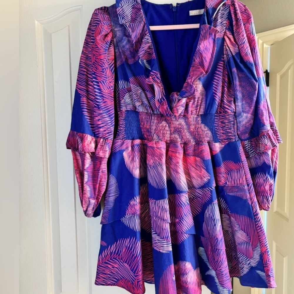 Hutch Blue and Pink Mini Dress